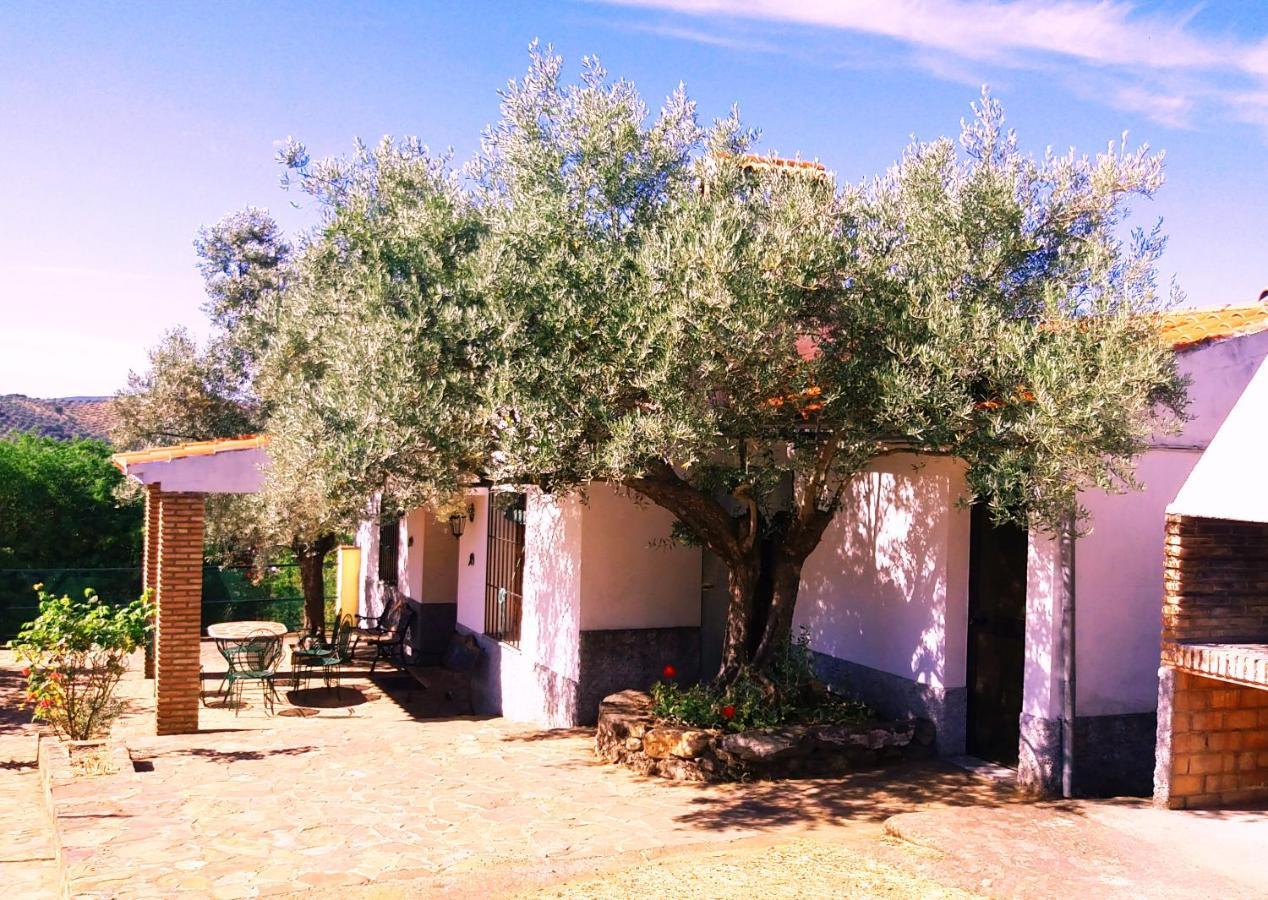 Cortijo "Era Grande 2" Córdoba Exterior foto