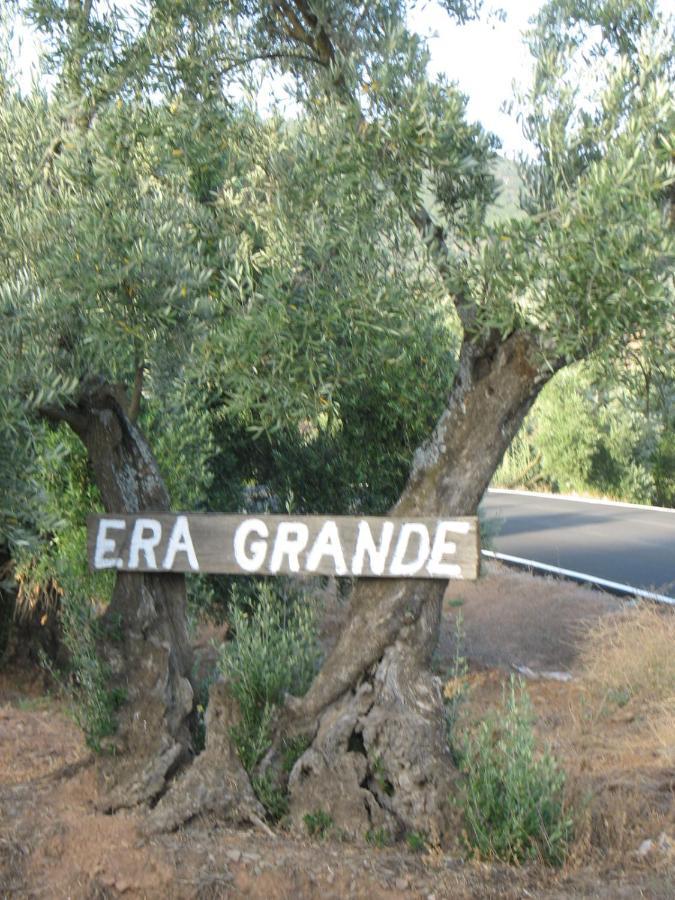 Cortijo "Era Grande 2" Córdoba Exterior foto