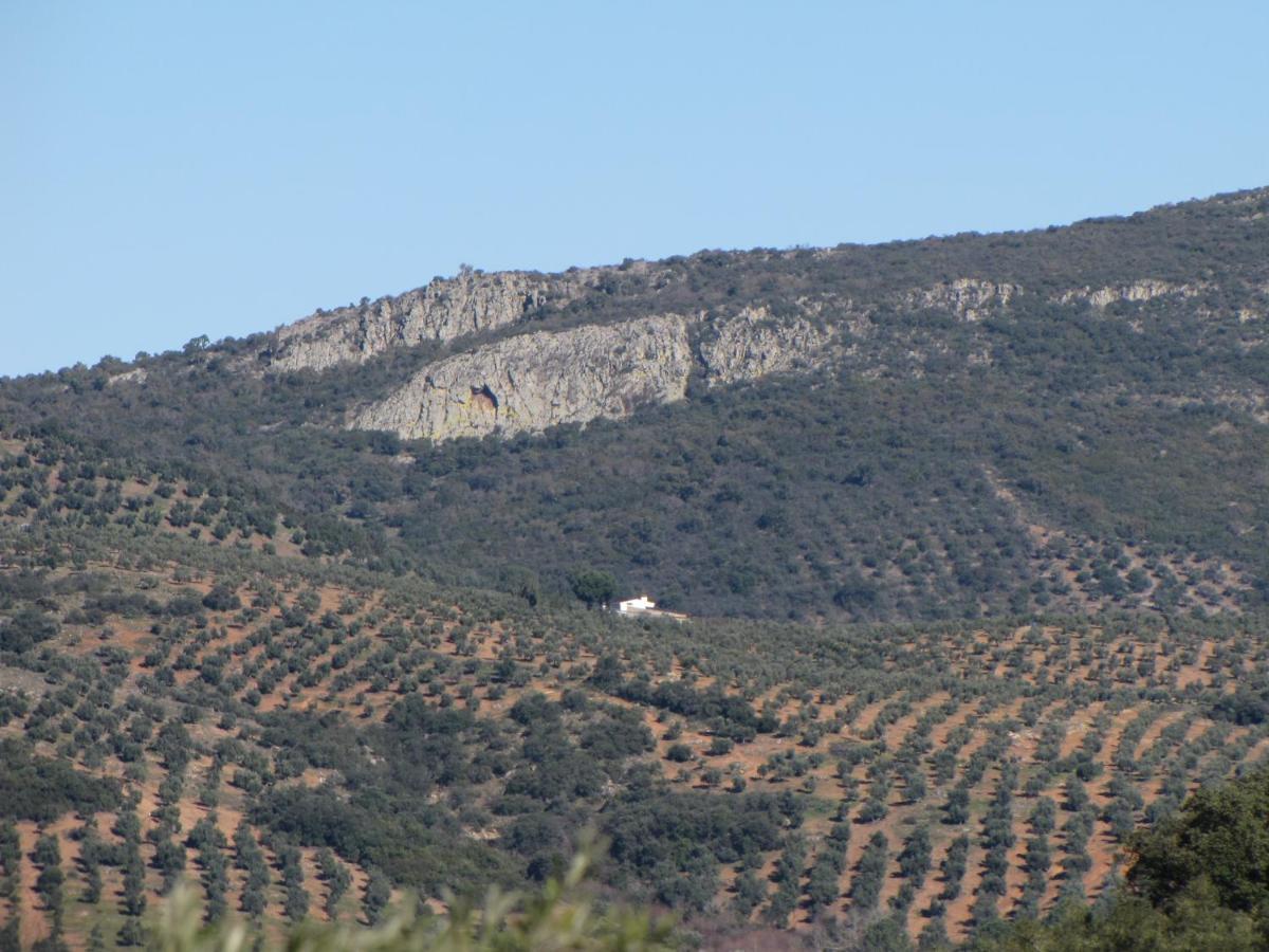 Cortijo "Era Grande 2" Córdoba Exterior foto